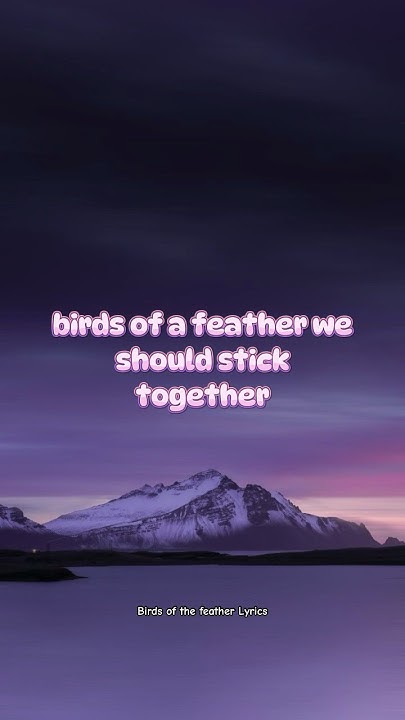 Birds of a feather Lyrics by Billie Eilish / Sad Songs that make you