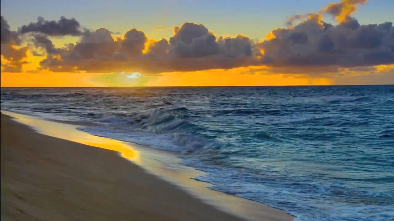 Beach sunset gif