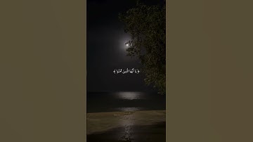 أترك أثر طيبا تؤجر عليه 🤍#قرآن #quran #اكسبلور #explore #القرآن_الكريم #سورة_الأحزاب #ماهر_المعيقلي