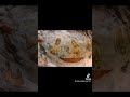 Sigiriya Rajadani Srilanka Foryoupage Onemillion тЭдя ПЁЯШН Sigiriya Rajadani Srilanka Foryoupage Onemillion тЭдя ПЁЯШН