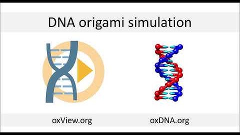 oxDNA tutorial without installation