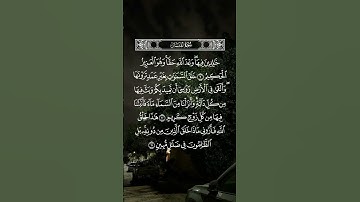 تلاوة مباركة خاشعة بصوت يلامس القلوب #اكسبلور #المصحف #حالات_واتس #القران #راحة_نفسية #خطبه #لايك