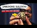 Unboxing baby sulcata tortoise and a lot of tips for newbie