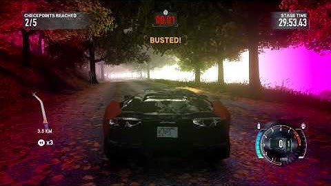 Need For Speed The Run busted glitch