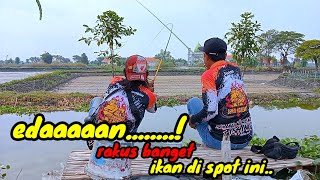 PANTESAN SPOT INI VIRAL .Spotnya kayak gini....?