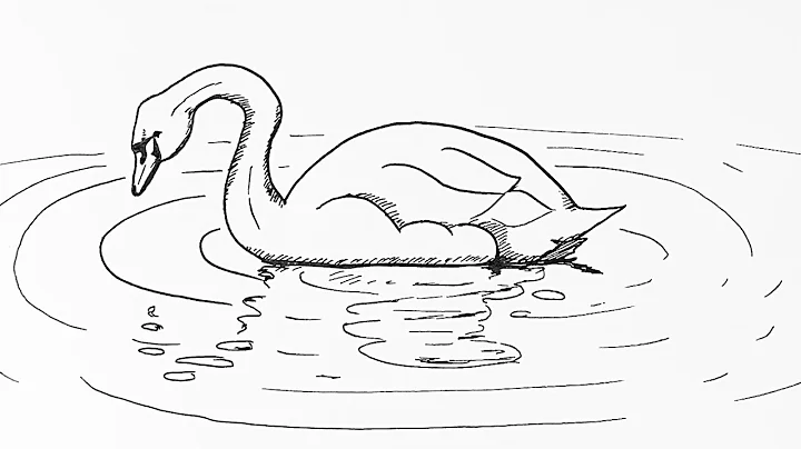 How to draw a realistic swan
