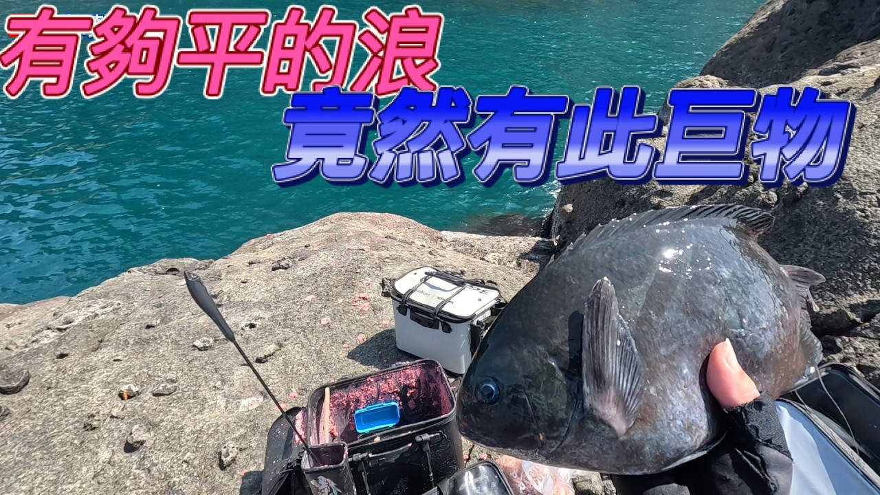 風平浪靜，水面下竟然出現不可思議魚種，還不是ㄧ隻兩隻而是一大片，浮水魚竟然來搶著吃餌! 難道他們餓瘋了嗎?  #釣魚 #遠投 #磯釣 #基隆嶼 #黑毛 #黃雞魚