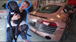 MY DOG RUINED MY SUPERCAR... *HEARTBROKEN*