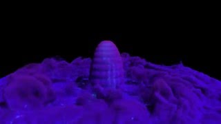 Magic dust in maya