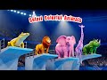 Safari Colorful Animals Diving Song | Animals for Toddlers | LittleKidsTV