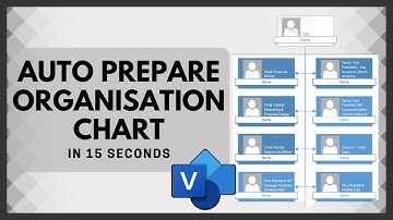 Automatic Visio Organisation Chart | Vijay S Shukla | Business Analyst Training