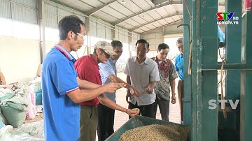 Phát huy vai trò HTX phát triển kinh tế