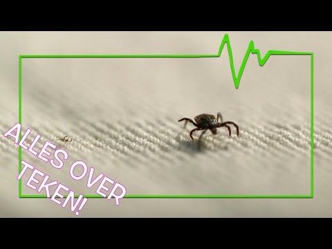 Video: De Enzoötische Levenscyclus Van Borrelia Burgdorferi (sensu Lato) En Door Teken Overgedragen Rickettsiae: Een Epidemiologisch Onderzoek Naar In Het Wild Levende Kleine Zoogdieren E