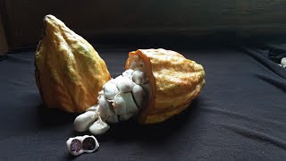 Painting a Cocoa Pod, this fruit makes ALL Chocolate