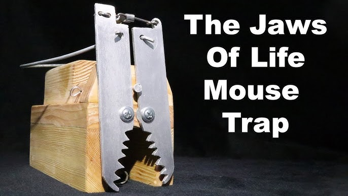 Jawz Mouse Trap