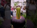Rare, foul-smelling 'corpse flower' blooms in Poland