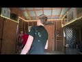 Mini hoop game part 4 🦖⚔️🏀