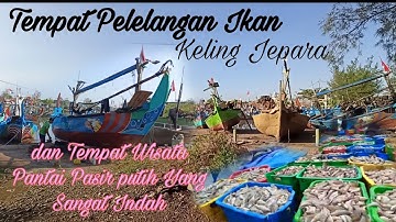Tempat Pelelangan Ikan keling Jepara dan Tempat Wisata yang Sangat indah ll blusukam ll wisata alam