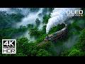 World's Most Beautiful 4K Video - Dolby Vision 4K 60 FPS HDR