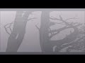 Jesu - Infinity (Excerpt) (2009)