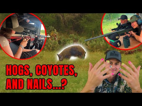 California Girls Hunt Hogs in Texas | PART 2