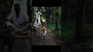 Ayyankali..villuvandi Fight