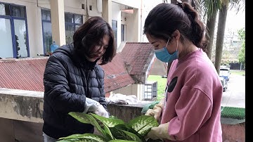 [BÀI DỰ THI - PHẦN VIDEO] Đợt thi đua đặc biệt chào mừng 90 năm - Trung tâm HDHĐ Thiếu nhi TW