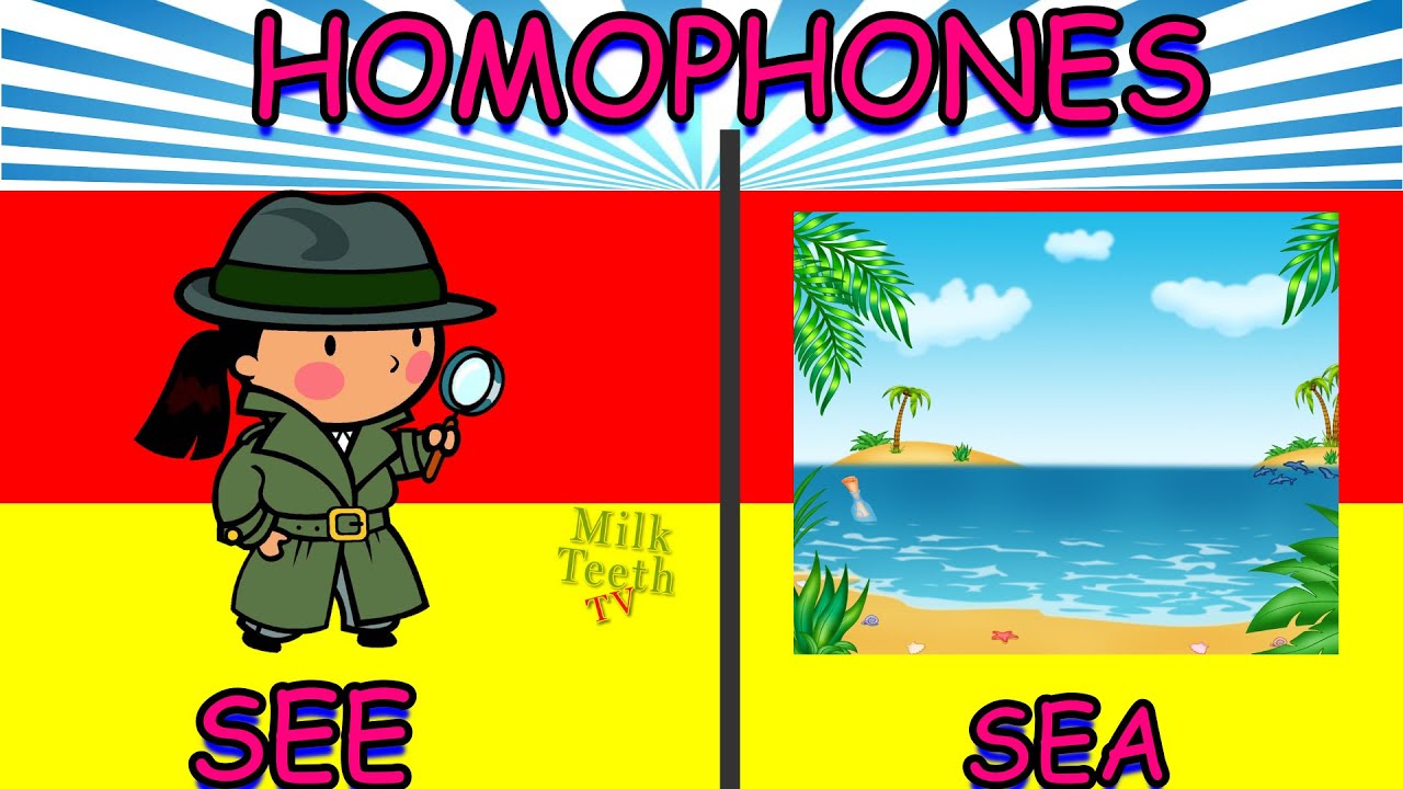 Homophones In English Grammer | Basic Homophones list for class 1 Kids