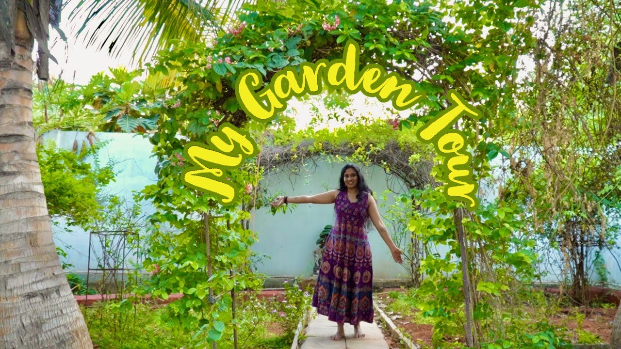 My Garden Tour 2025 | Kalagura Gampa | Telugu Vlogs