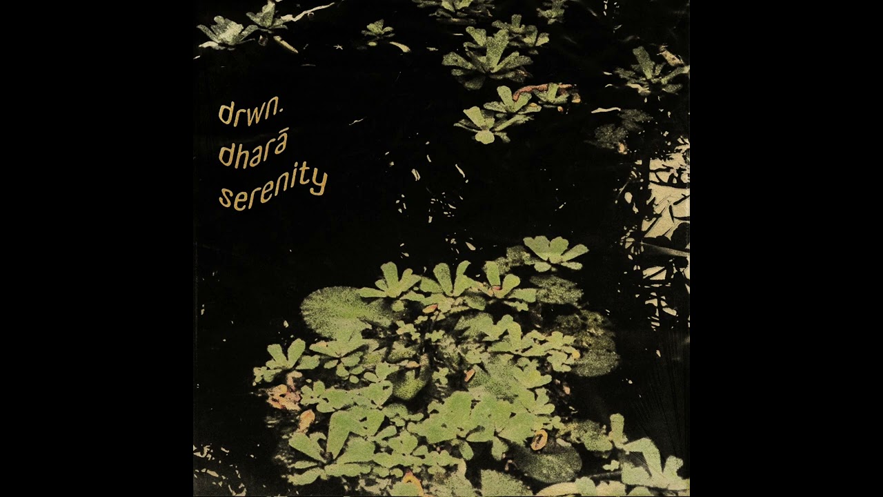 DRWN  x dharā - serenity I