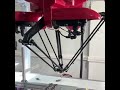 4-Axis Sorting Robot