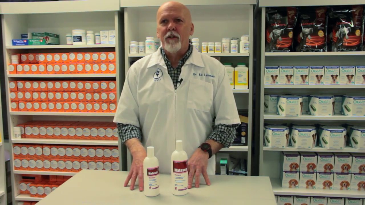 Malaseb Medicated Shampoo for Dogs and Cats YouTube