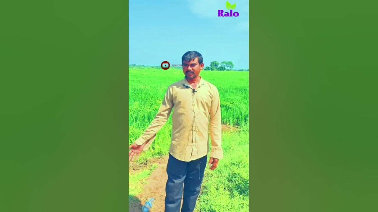 3 Raloagri Machine Best Quality And Best Price farmer Feedback 3-raloagri-machine-best-quality-and-best-price-farmer-feedback