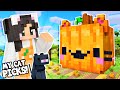 My CAT Picks My HALLOWEEN House 