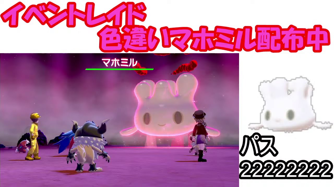 バレンタイン 今週のイベントレイドの色違いマホミルが出たので配布します ポケモン剣盾 Youtube