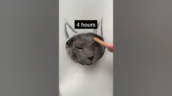 Hyperrealistic cat drawing 🐱