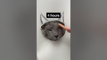 Hyperrealistic cat drawing 🐱