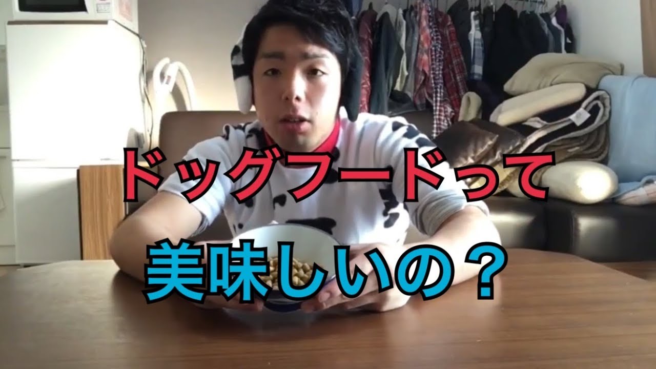 検証 ドッグフードは美味しいのか Youtube 検証 ドッグフードは美味しいのか Youtube