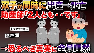 双子の娘が同時に出産→ﾀﾋ亡。助産師「2人とも・・です」→恐るべき真実にスレ民唖然…