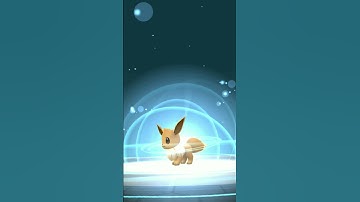 Evolution of 100IV Eevee into Umbreon in Pokemon GO #shorts