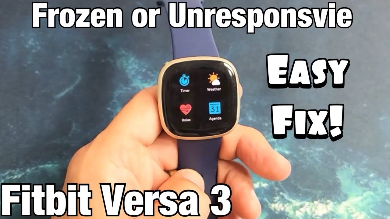 fitbit versa agenda