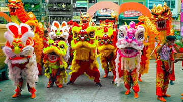 Múa Lân 2022 Khai Quang Điểm Nhãn Lân Sư Rồng 2023 / LSR Nhật Anh Đường cúng Chùa Ông