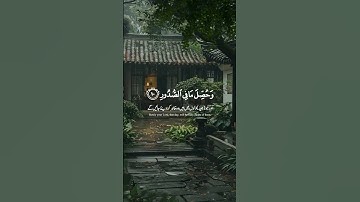 سورة العاديات |  آية ٩-١١ | عبد الرحمن مسعد