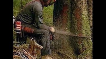 Coldcut & Hexstatic - Timber