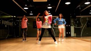 2ne1 crush 후기영상