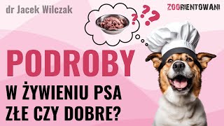 Podroby W Psiej Diecie - Czy Są Zdrowe? Na Co Uważać?