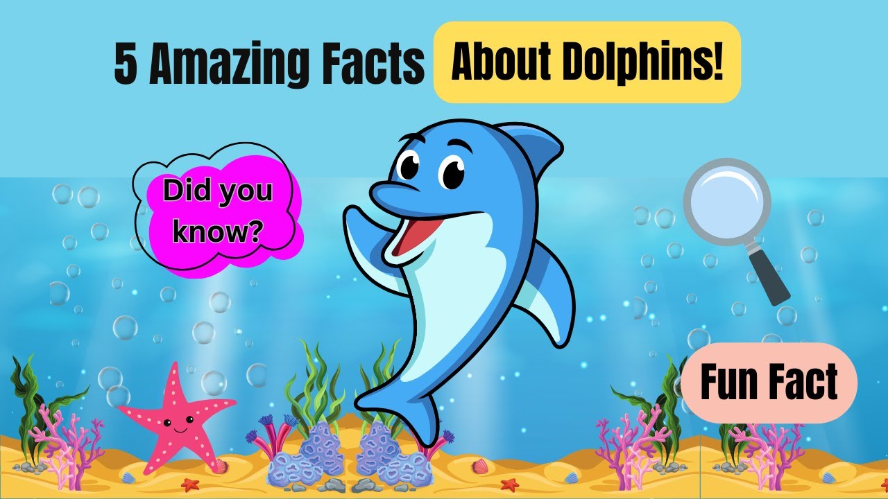 5 Amazing Facts About Dolphins You Never Knew! | Fun Dolphin Facts for ...