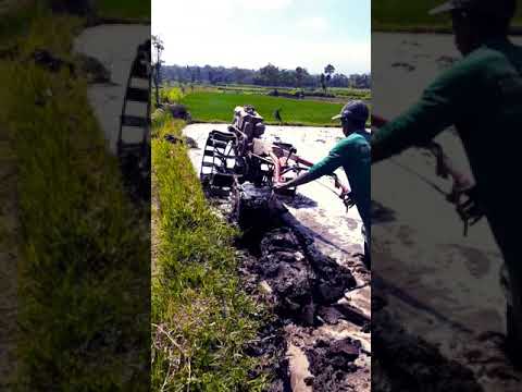 Video: Bajak Untuk Traktor Berjalan Di Belakang MTZ: Bajak Berputar Dan Putar Belarus 09Н, Penyesuaian Dan Penyesuaian, Dimensi Jejak