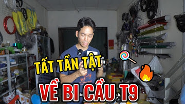 Hướng dẫn lắp đèn bi cầu mini T9 chính hãng. Căn chỉnh ánh sáng phù hợp