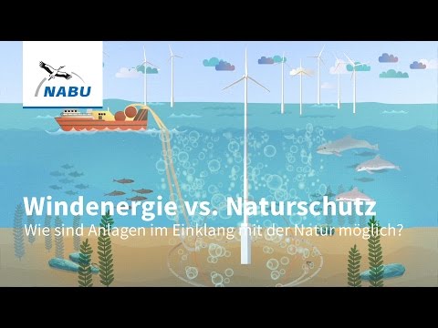 Windenergie vs. Naturschutz - wie geht naturverträgliche Windkraft?